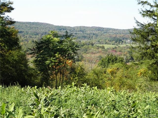Land For Sale: Patterson, New York