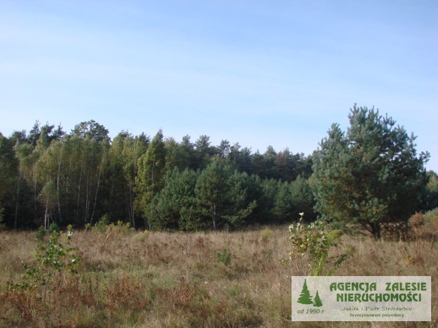 Plot for sale in Zalesie Górne (na.. - 2