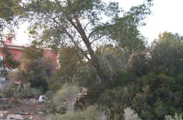 Flat Plot Of 2.000 M2 In One Of The.. - 2