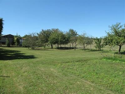 Site