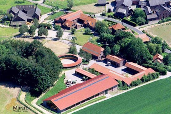 Luxury studfarm equestrian estate..