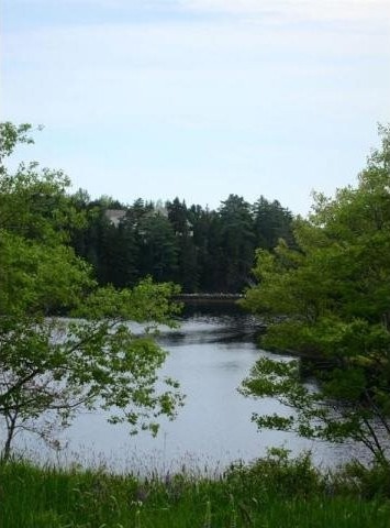 Land For Sale: Lot B-Y Arthur Hatt Road.. - 2