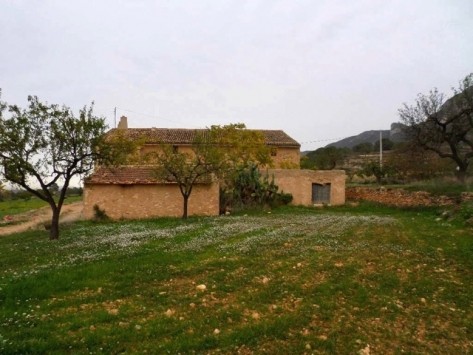 Finca La Romana - 2