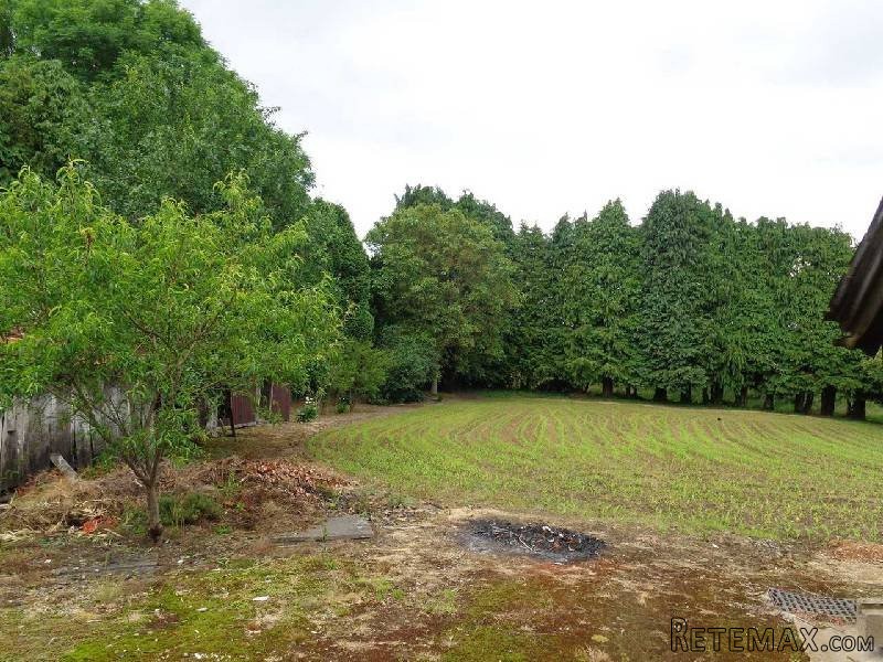 Perfect Holiday Home Property - 2