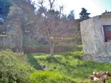Ruined Building With Huge Plot For Sale - 2