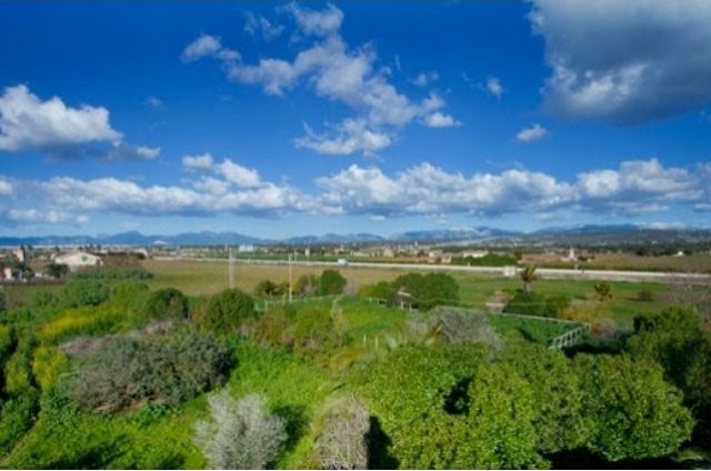 Rural Property Located On The Outskirts.. - 2