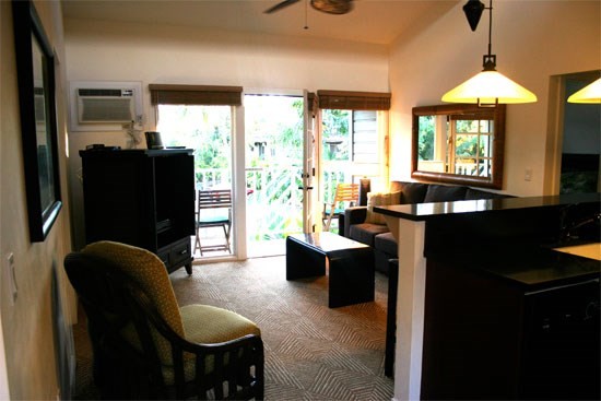 Lahaina Condo J204