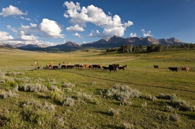 Berman Buckskin Ranch