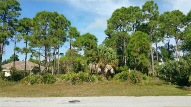 Land For Sale: 995 Romano Key Cir.. - 2