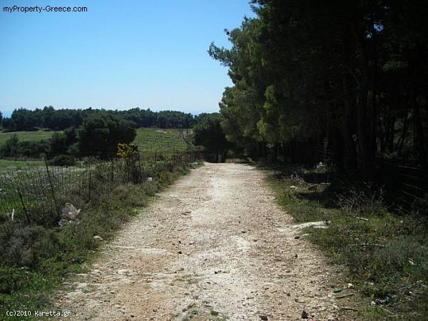 Land - Zakynthos - For Sale - 2