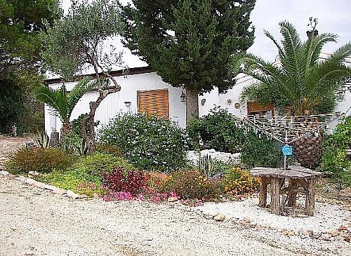 Villa - An attractive country finca..