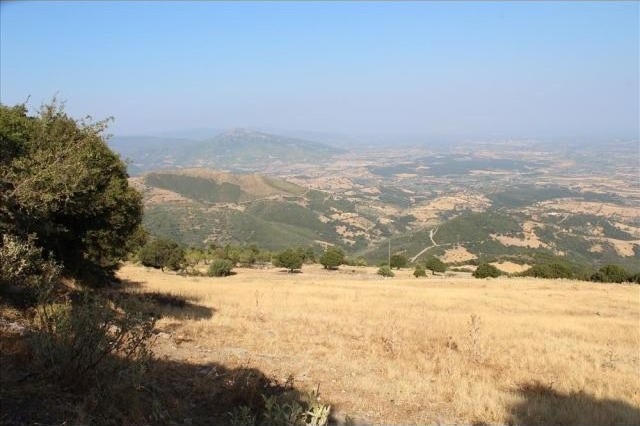 B313 - Land parcel of 40000 sqm in.. - 2