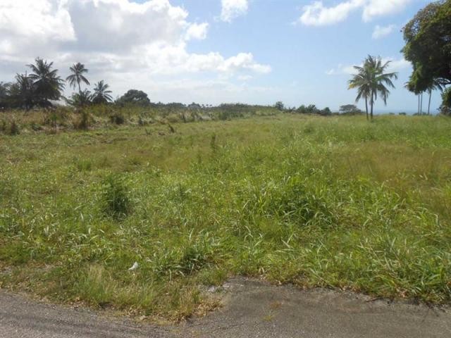 Property For Sale: Christie Village.. - 2