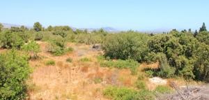 Mallorca, Muro Son Morei, rural plot..