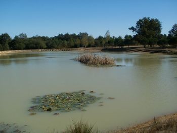 28,47acres Of Land With Pond - 2