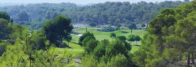 Plots for sale in Campoamor