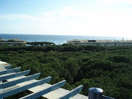 Apartment - Charming 1 bed penthouse..