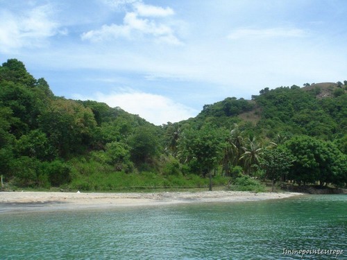 Land For Sale Lombok Nusa Tenggara..