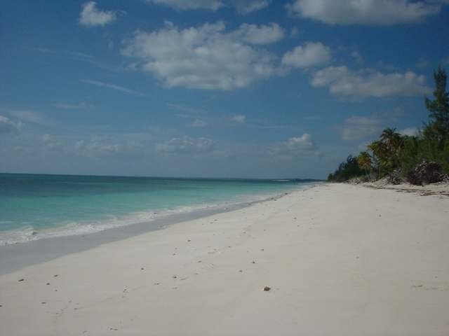 Singlefamilyvacant - Located in the..