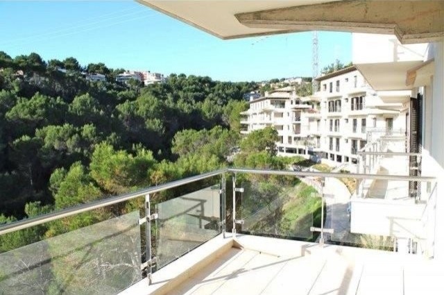 Brand new luxury apartment - Cas Catala