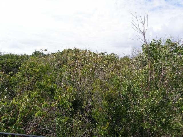 Singlefamilyvacant - Lot 2, Block 48.. - 2