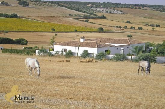 Finca rustica, casa de campo, cuadras..
