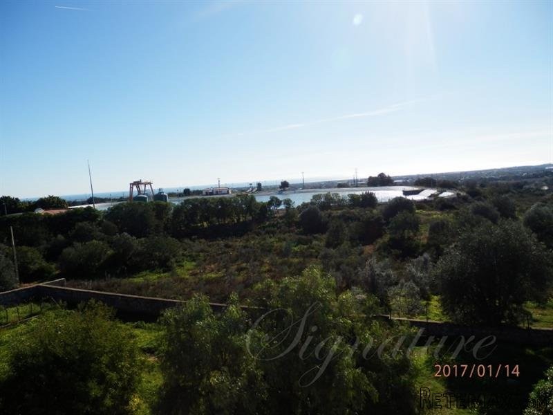 7 bedroom Farm For Sale: Santa Estevao.. - 2