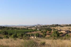 Finca plot with panoramic views