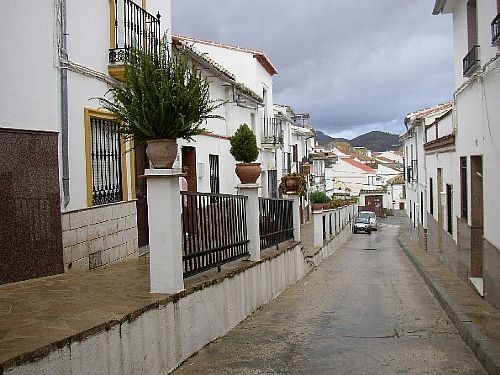 Town House - Traditional 2 level..