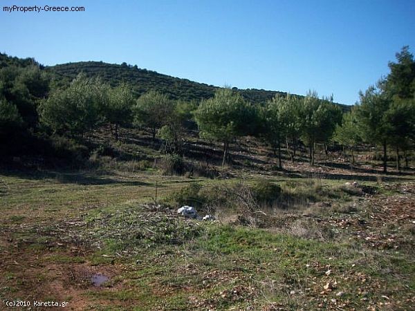 Land - Zakynthos - For Sale - 2