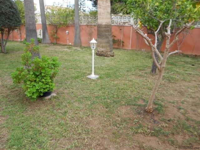 BEAUTIFUL VILLA NEAR THE SEA IN LA ZENIA - 2