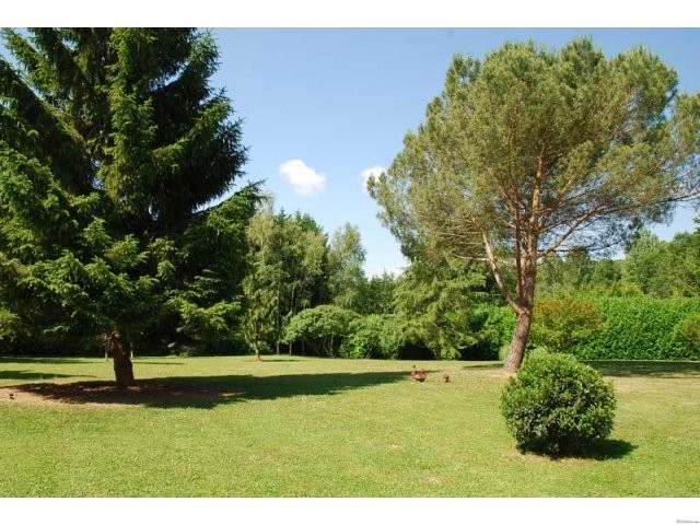 Contemporary Home In 1.5 Acres - 2