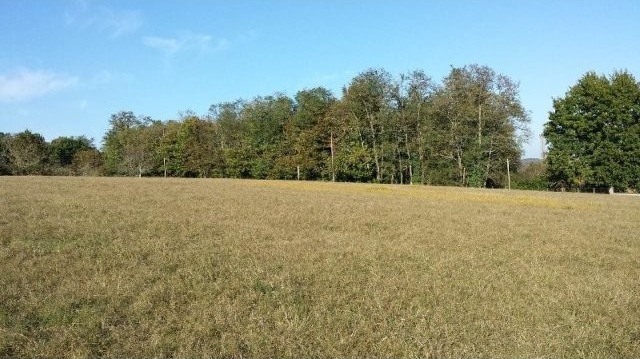 27218 - Vente - Terrain - Vergt - 2