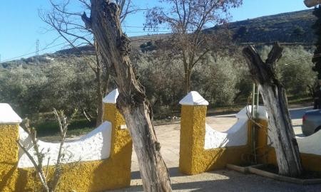 Cortijo, Villanueva de Algaidas - 2