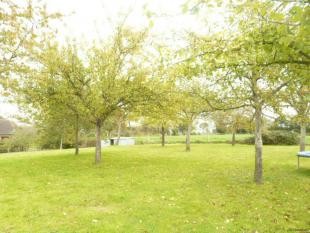 Nice French Country Home - 2
