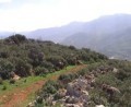 Hillside Plot In Secluded Area