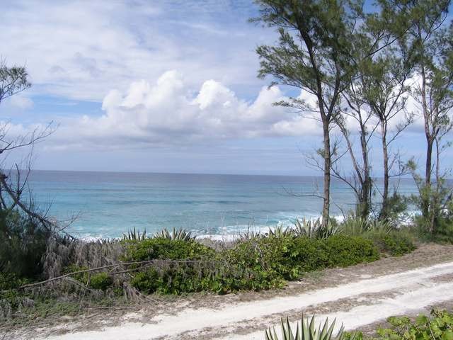 Singlefamilyvacant - Two gorgeous lots..