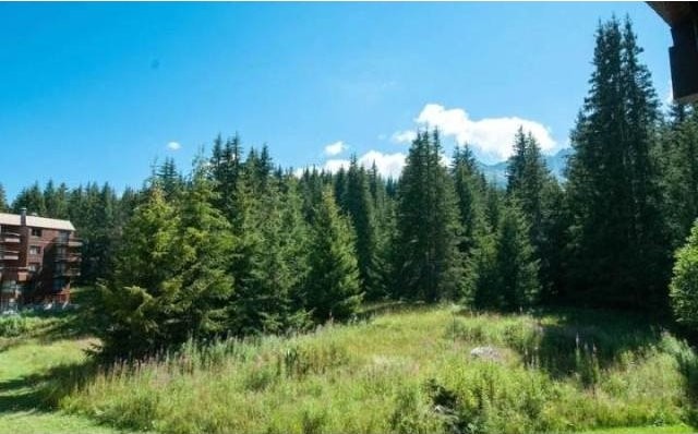 Jardin Alpin Couchevel 1850, 73120 - 2