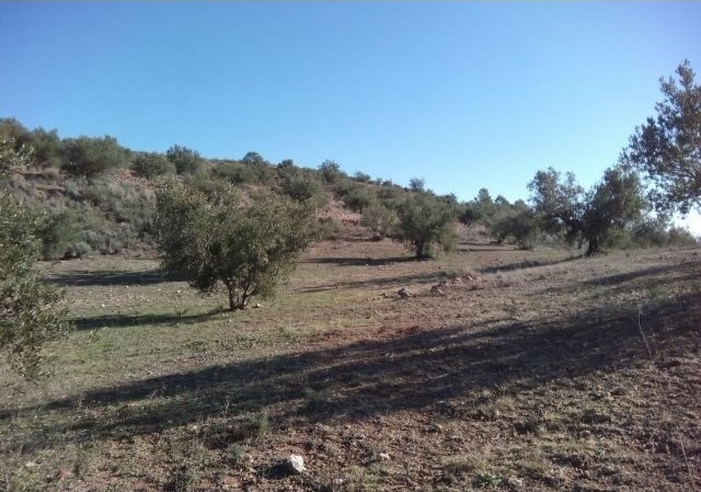 Navarres, Costa Blanca North