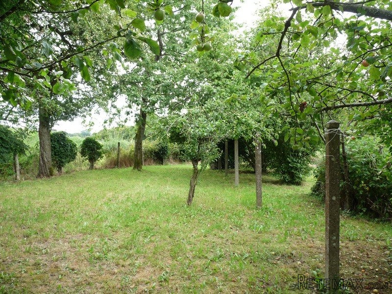 Large Property with 1.3 Hectares - 2