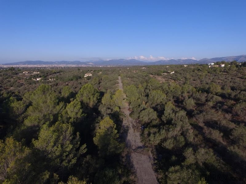 Plot In Sa Cabaneta Marratxi