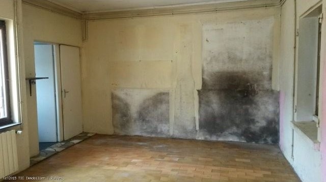 Lovely Old Stone House To Renovate With.. - 2