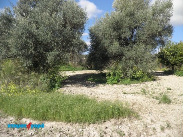 Residential Land in Skoulli, Pafos