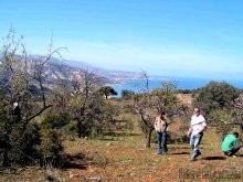 Land Property In Greece For Sale - 2