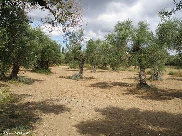Land - Zakynthos - For Sale