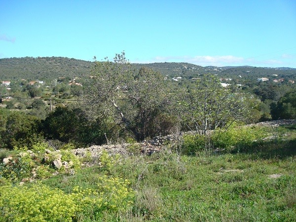 Ruin With Land For Sale - Goldra - 2