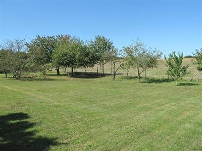 Site - 2