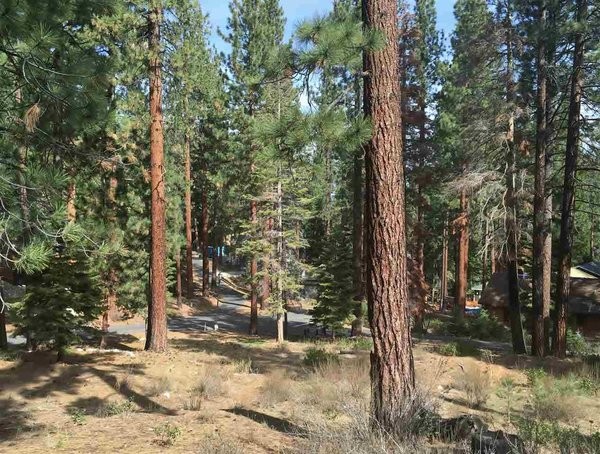 Land For Sale: Glenbrook, Nevada