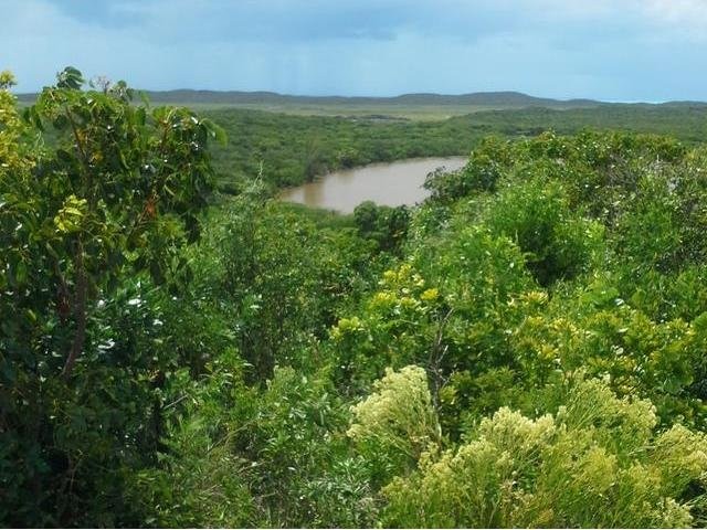 Singlefamilyvacant - Hill top property..