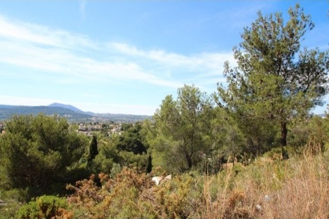 Land - For Sale - 2